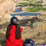 رمان دشت میخک های وحشی