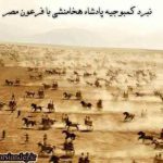کمبوجیه