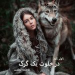 دانلود رمان در خلوت یک گرگ از نویسنده فاطمه لطفی رمان رایگان