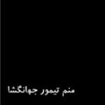 دانلود کتاب “منم تیمور جهان‌گشا”