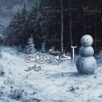 رمان آدم برفی