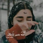 دانلود رمان چله نشین تاریکی از نویسنده فاطمه غفرانی رمان رایگان